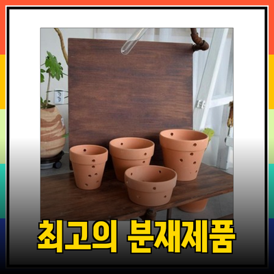 분재클래스를 위한 최고의 제품들 소개